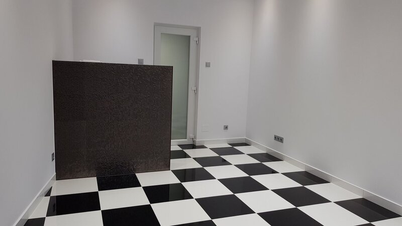 Dinicu Golescu- Stirbei Voda