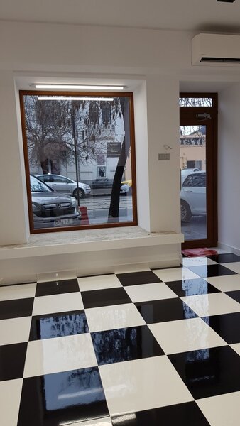 Dinicu Golescu- Stirbei Voda