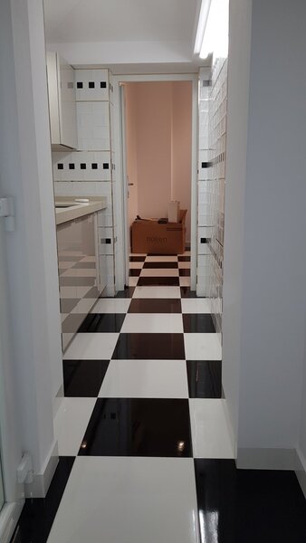 Dinicu Golescu- Stirbei Voda