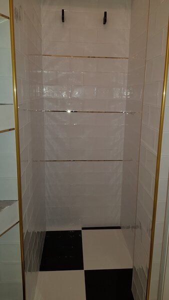 Dinicu Golescu- Stirbei Voda