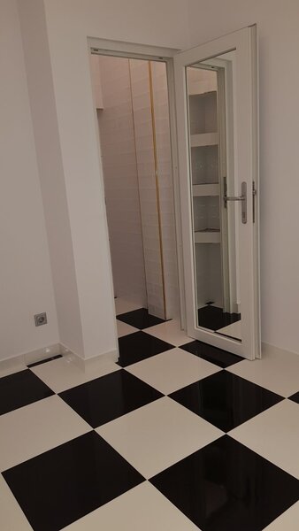 Dinicu Golescu- Stirbei Voda