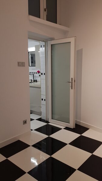 Dinicu Golescu- Stirbei Voda