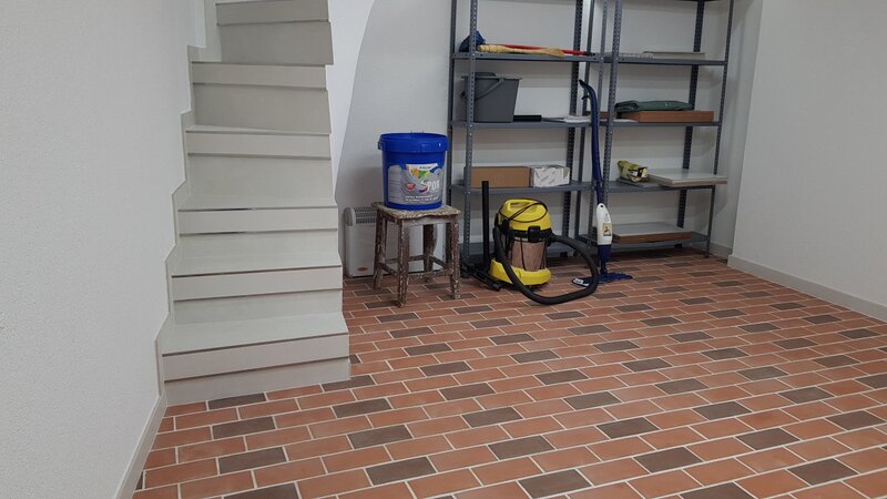 Dinicu Golescu- Stirbei Voda