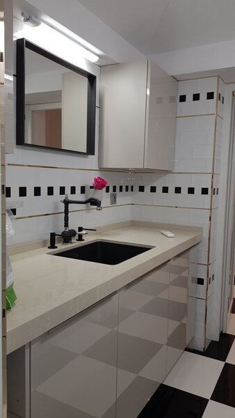 Dinicu Golescu- Stirbei Voda