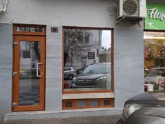 Dinicu Golescu- Stirbei Voda